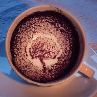 درخت در فال قهوه معنی درخت در فال قهوه درخت در فنجان فال واقعی قهوه
