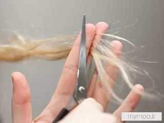 چگونه فولیکول موهایتان را تحریک کنید