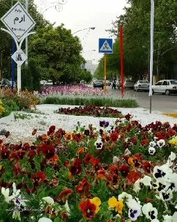 بولوار-ارم-شیراز